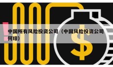 中國所有風險投資公司（中國風險投資公司 何瓊）