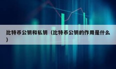 比特幣公鑰和私鑰（比特幣公鑰的作用是什么）