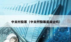 中關村股票（中關村股票是國企嗎）