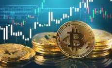 過比特幣交易所,比特幣在哪個平臺交易