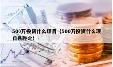 500萬投資什么項目（500萬投資什么項目最穩定）