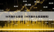 50萬做什么投資（50萬做什么投資賺錢）