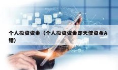 個人投資資金（個人投資資金即天使資金A 錯）