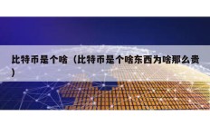 比特幣是個啥（比特幣是個啥東西為啥那么貴）