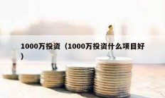 1000萬投資（1000萬投資什么項目好）