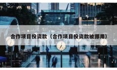 合作項目投資款（合作項目投資款被挪用）