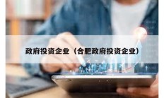 政府投資企業（合肥政府投資企業）