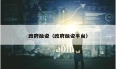 政府融資（政府融資平臺(tái)）