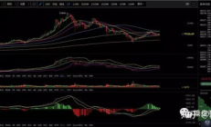 國外虛擬幣交易,虛擬幣平臺