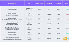ARK研報：超賣、貨幣流通——二月的加密市場探究