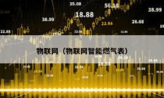 物聯網（物聯網智能燃氣表）