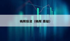 楊輝投資（楊輝 質(zhì)疑）