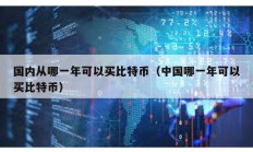 國內從哪一年可以買比特幣（中國哪一年可以買比特幣）