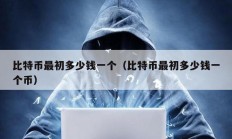 比特幣最初多少錢一個（比特幣最初多少錢一個幣）