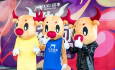 小牛鏈交易,小牛電動車代理