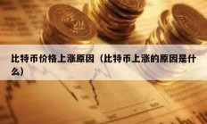 比特幣價格上漲原因（比特幣上漲的原因是什么）