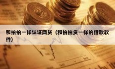 和拍拍一樣認(rèn)證網(wǎng)貸（和拍拍貸一樣的借款軟件）