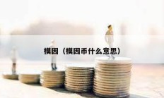 模因（模因幣什么意思）