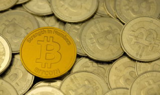 ws幣 價(jià)格,wsm幣是割韭菜幣