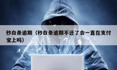 秒白條逾期（秒白條逾期不還了會(huì)一直在支付寶上嗎）