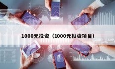 1000元投資（1000元投資項目）