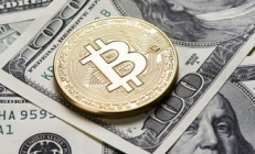 數(shù)字錢包貨幣開發(fā),數(shù)字幣錢包app官方下載