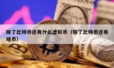 除了比特幣還有什么虛擬幣（除了比特幣還有啥幣）