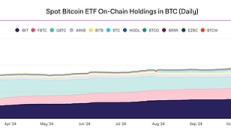 超過中本聰 什么是電子黃金的真義？
