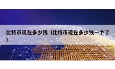 比特幣現在多少錢（比特幣現在多少錢一個了）