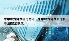 中本聰為何發(fā)明比特幣（中本聰為何發(fā)明比特幣,割韭菜繆戾）