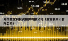 湖南金寶利投資擔(dān)保有限公司（金寶利集團(tuán)有限公司）