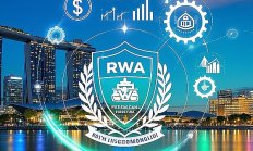 Web3律師25年解讀：RWA項(xiàng)目落地海外如何選擇發(fā)幣主體？新加坡基金會(huì)仍是“香餑餑”？