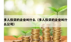 多人投資的企業叫什么（多人投資的企業叫什么公司）
