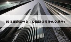 股指期貨是什么（股指期貨是什么交易所）