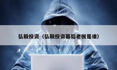 弘毅投資（弘毅投資幕后老板是誰）