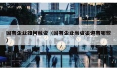 國有企業如何融資（國有企業融資渠道有哪些）