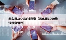 怎么用1000塊錢投資（怎么用1000塊錢投資銀行）