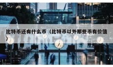 比特幣還有什么幣（比特幣以外那些幣有價值）