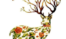 hcash 錢包,zcash幣還能起來嗎