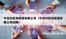 中關(guān)村投資擔(dān)保有限公司（中關(guān)村投資擔(dān)保有限公司招聘）