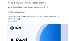 BEVM 生態首個 L2 銘文協議已上線 詳解 Bevscriptions 使用教程