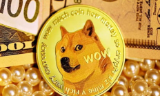 狗狗幣價格2016,狗狗幣app下載