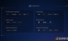 Multicoin合伙人：三點(diǎn)讀懂我們?yōu)楹晤I(lǐng)投Wormhole 2.25億美元融資