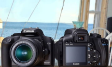 eos發(fā)行價(jià)格,EOS今日價(jià)格行情