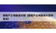 房地產公司融資計劃（房地產公司融資計劃書范文）