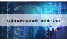 sb才找網貸公司做網貸（網貸找上公司）