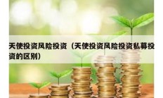 天使投資風險投資（天使投資風險投資私募投資的區別）