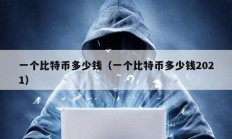 一個比特幣多少錢（一個比特幣多少錢2021）