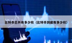 比特幣總共有多少枚（比特幣到底有多少枚）