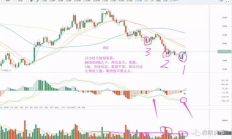 bch 最新價格,比特現金占全球總市值